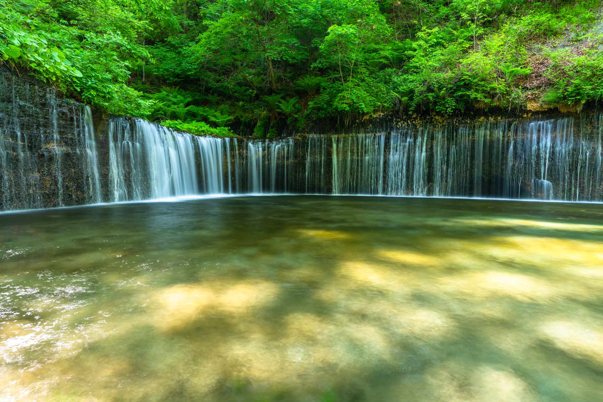 Day 8 highlight